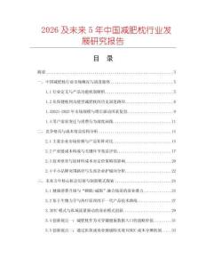 2026及未来5年中国减肥枕行业发展研究报告