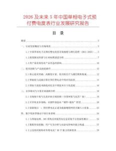 2026及未來5年中國單相電子式預付費電度表行業發展研究報告