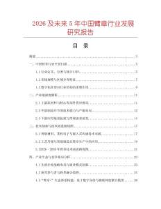 2026及未來5年中國臂章行業發展研究報告