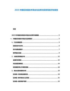 2025中國(guó)區(qū)塊鏈技術(shù)商業(yè)化應(yīng)用與投資風(fēng)險(xiǎn)評(píng)估報(bào)告
