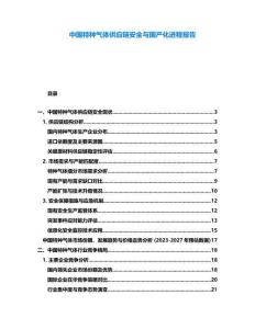 中國特種氣體供應鏈安全與國產化進程報告