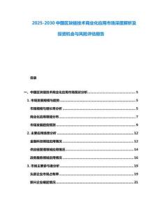 2025-2030中國區塊鏈技術商業化應用市場深度解析及投資機會與風險評估報告