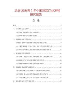 2026及未來5年中國潔菲行業發展研究報告