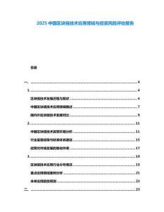 2025中國區塊鏈技術應用領域與投資風險評估報告