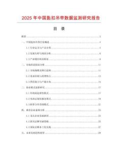 2025年中國匙扣吊帶數據監測研究報告