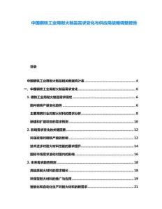 中國鋼鐵工業用耐火制品需求變化與供應商戰略調整報告