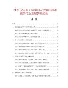 2026及未來5年中國中空液壓扭矩扳手行業發展研究報告