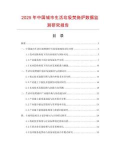 2025年中国城市生活垃圾焚烧炉数据监测研究报告