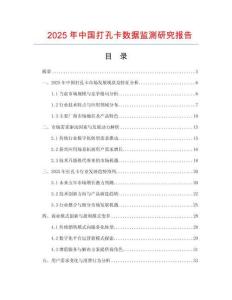 2025年中國(guó)打孔卡數(shù)據(jù)監(jiān)測(cè)研究報(bào)告