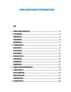 中國電力期貨市場建設與風險管理研究報告