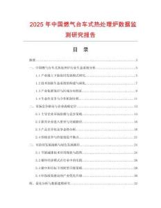2025年中國(guó)燃?xì)馀_(tái)車式熱處理爐數(shù)據(jù)監(jiān)測(cè)研究報(bào)告