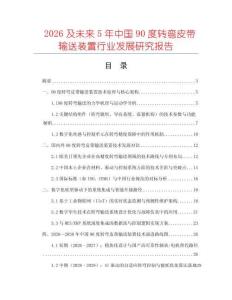 2026及未來5年中國90度轉彎皮帶輸送裝置行業發展研究報告