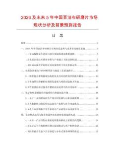 2026及未來5年中國百潔布研磨片市場現狀分析及前景預測報告