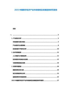 2025中國(guó)數(shù)字經(jīng)濟(jì)產(chǎn)業(yè)市場(chǎng)格局及發(fā)展趨勢(shì)研究報(bào)告