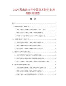 2026及未來5年中國武術鞋行業發展研究報告