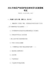 2026年知識產(chǎn)權(quán)保護的法律體系與實施策略考試
