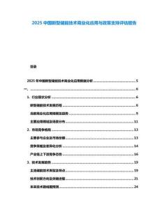 2025中國新型儲能技術商業化應用與政策支持評估報告