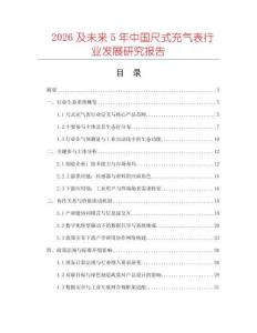 2026及未來5年中國尺式充氣表行業發展研究報告