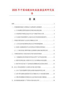 2025年中国硅酸铝软板数据监测研究报告