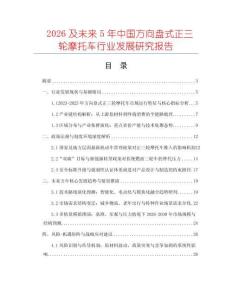 2026及未來5年中國方向盤式正三輪摩托車行業發展研究報告