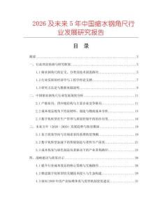 2026及未來5年中國縮水鋼角尺行業發展研究報告