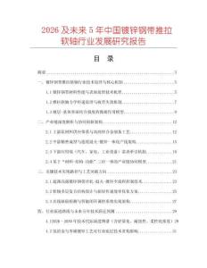 2026及未來5年中國鍍鋅鋼帶推拉軟軸行業發展研究報告