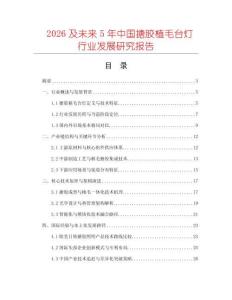 2026及未來5年中國搪膠植毛臺燈行業(yè)發(fā)展研究報告