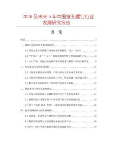 2026及未來5年中國穿孔螺釘行業(yè)發(fā)展研究報(bào)告
