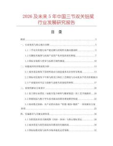 2026及未來5年中國三節雙關鋁槳行業發展研究報告