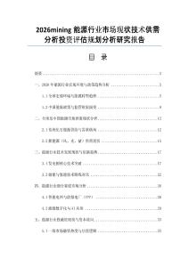 2026mining能源行業(yè)市場現(xiàn)狀技術(shù)供需分析投資評(píng)估規(guī)劃分析研究報(bào)告