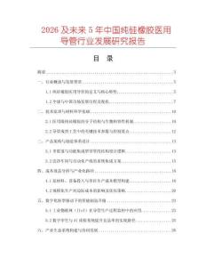 2026及未來5年中國純硅橡膠醫用導管行業發展研究報告