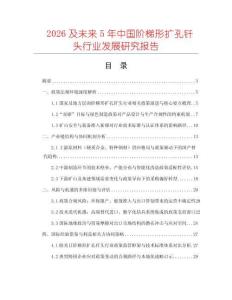 2026及未來5年中國階梯形擴孔釬頭行業發展研究報告