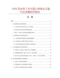 2026及未來5年中國小串珠長方盤行業發展研究報告