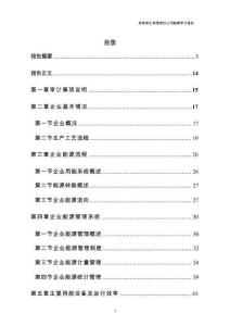 某焦化企業能源審計報告