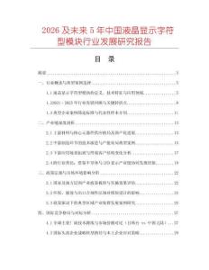 2026及未來5年中國液晶顯示字符型模塊行業(yè)發(fā)展研究報告