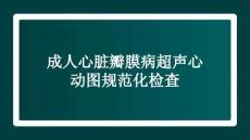 成人心臟瓣膜病超聲心動(dòng)圖規(guī)范化檢查