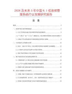 2026及未來5年中國6.1低音頻管理系統行業發展研究報告