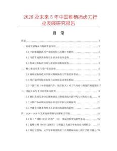 2026及未來5年中國錐柄插齒刀行業(yè)發(fā)展研究報告