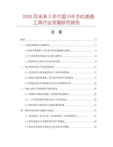 2026及未来5年中国GSM手机维修工具行业发展研究报告