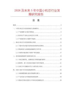 2026及未來5年中國小機芯行業發展研究報告