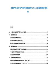 中国汽车电子电气架构变革趋势与Tier1转型策略研究报告
