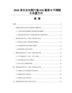 2026漂洗添加劑行業(yè)ESG發(fā)展水平對標與改進方向
