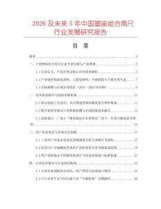 2026及未來5年中國塑座組合角尺行業發展研究報告