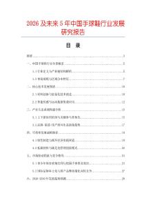 2026及未來(lái)5年中國(guó)手球鞋行業(yè)發(fā)展研究報(bào)告
