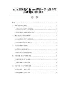 2026漂洗劑行業(yè)ESG評價體系構(gòu)建與可持續(xù)發(fā)展指數(shù)報告
