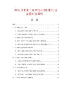 2026及未來(lái)5年中國(guó)花邊掃把行業(yè)發(fā)展研究報(bào)告