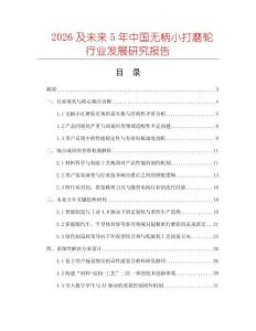 2026及未來5年中國無柄小打磨輪行業(yè)發(fā)展研究報告