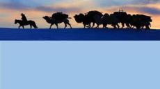 第6课 古代人类的迁徙和区域文化的形成（任务型课件）-2025-2026学年高中历史选择性必修3（统编版）