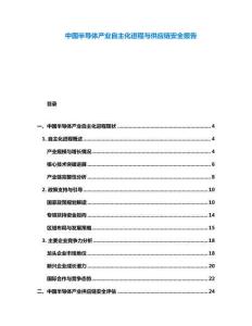 中國半導(dǎo)體產(chǎn)業(yè)自主化進(jìn)程與供應(yīng)鏈安全報(bào)告