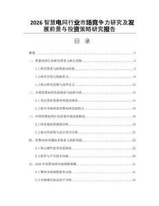 2026智慧電網(wǎng)行業(yè)市場競爭力研究及發(fā)展前景與投資策略研究報告